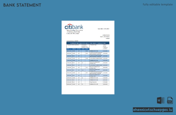Beispiel eines Kontoauszugs der Citibank Irland